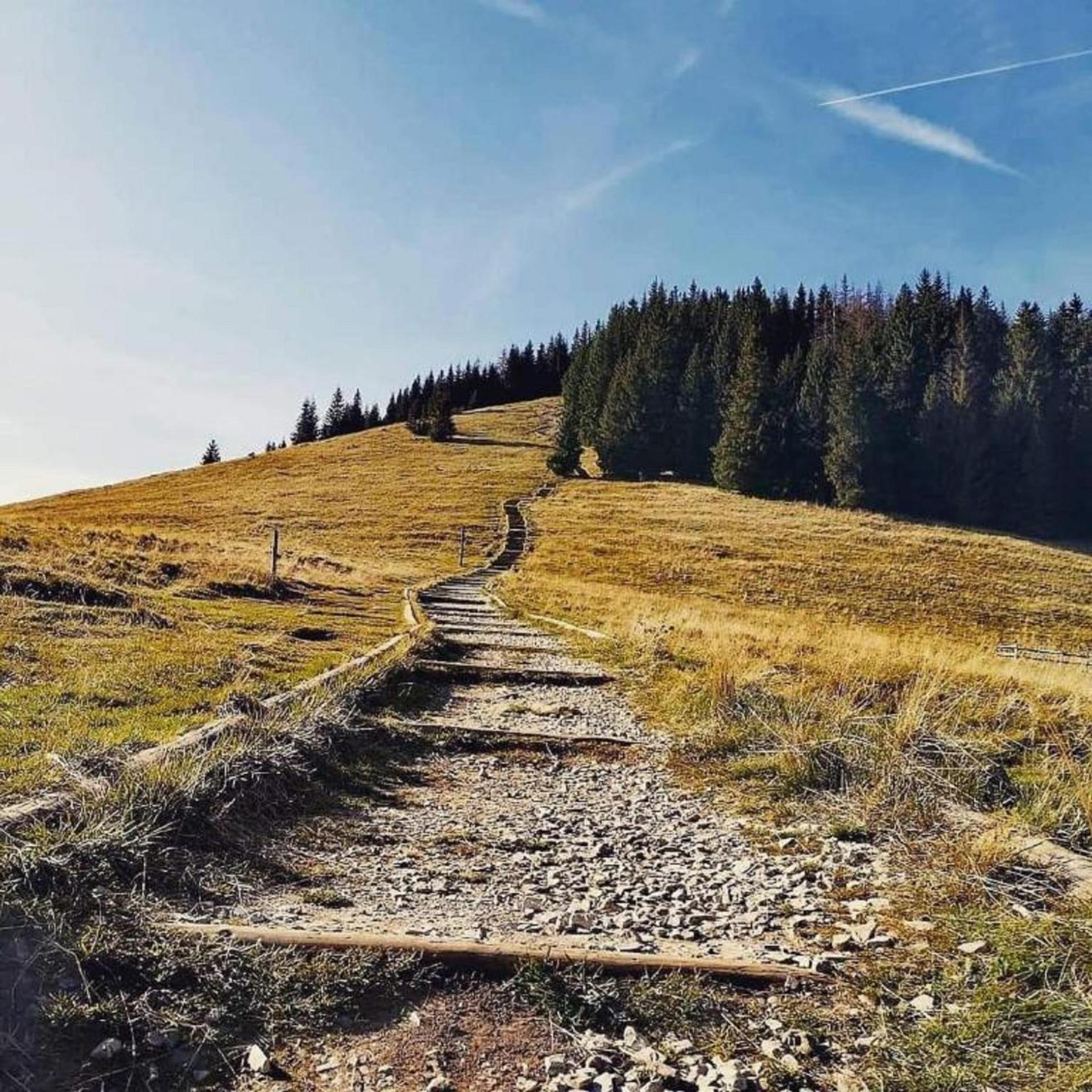 Chaty Misiagi Poronin Exteriér fotografie
